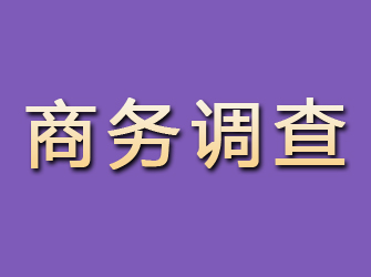 光山商务调查